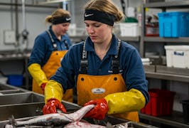 Ausbildung Fischwirt/in